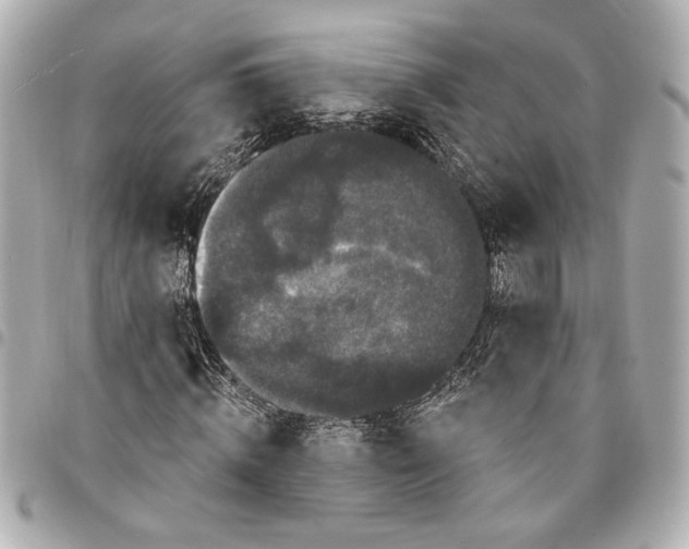 X0000095510820200712281436