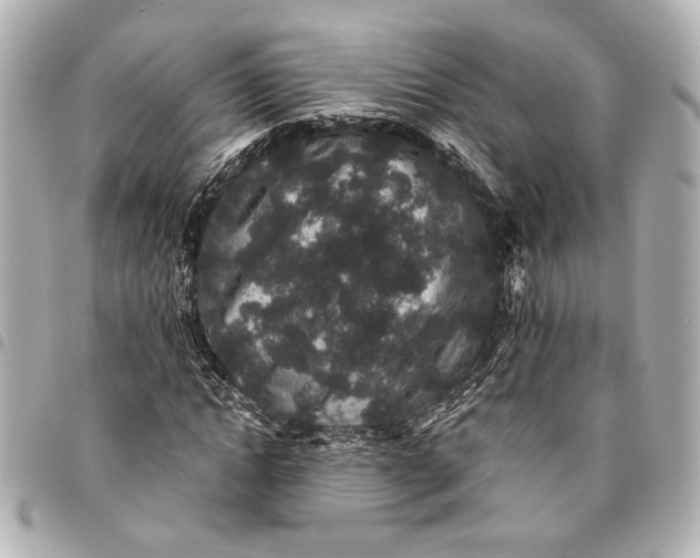 X0000095510822200712281436