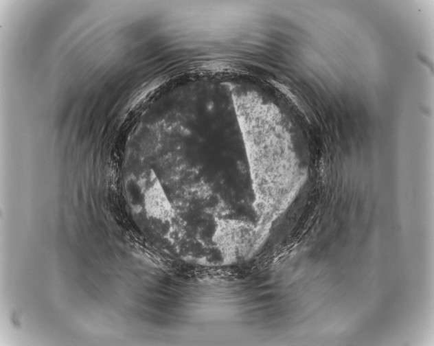 X0000095510823200712281436