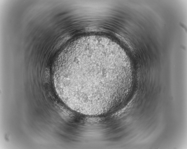 X0000095510825200712281436