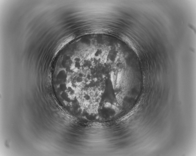 X0000095510827200712281436