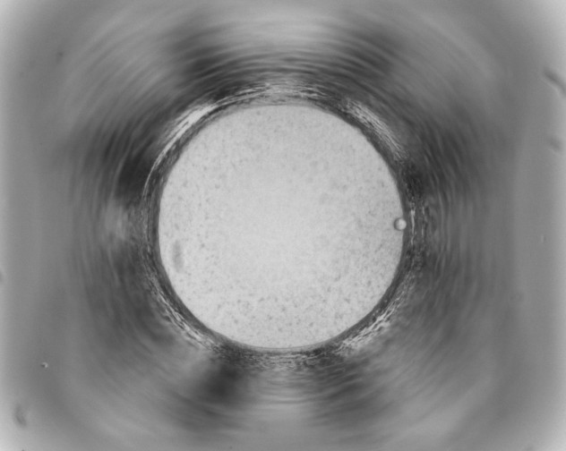 X0000095510828200712281436