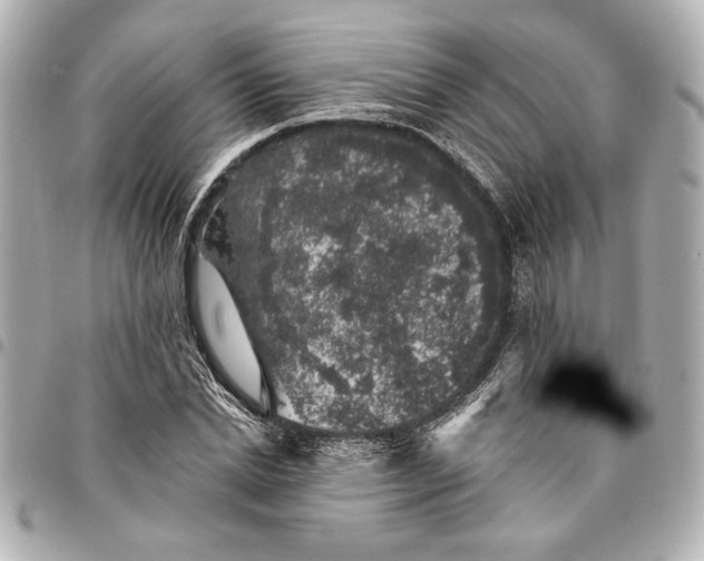 X0000095510830200712281436