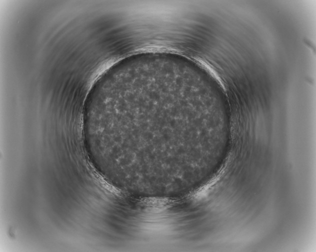 X0000095510831200712281436