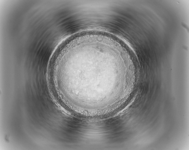 X0000095510832200712281436