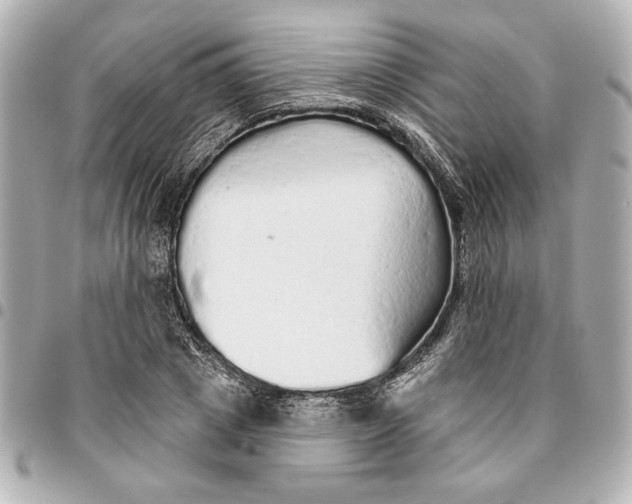 X0000095510833200712281436