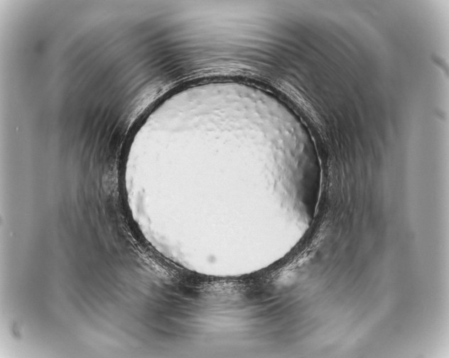 X0000095510834200712281436