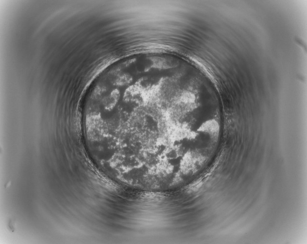 X0000095510835200712281436