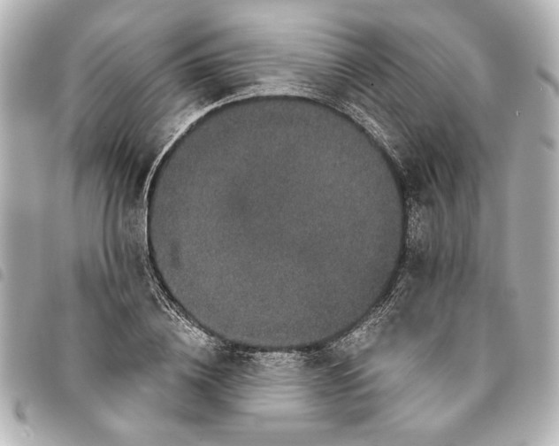 X0000095510836200712281436