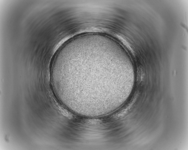X0000095510837200712281436