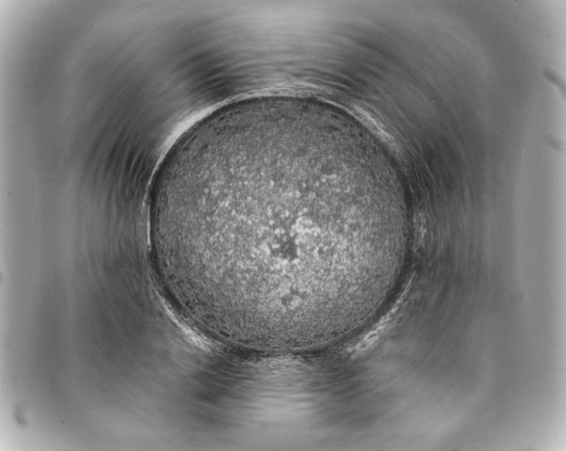 X0000095510838200712281436