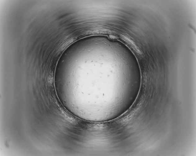 X0000095510841200712281436