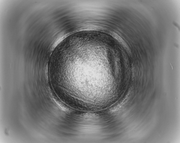 X0000095510842200712281436
