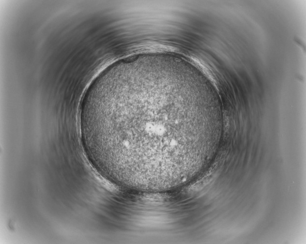 X0000095510843200712281436