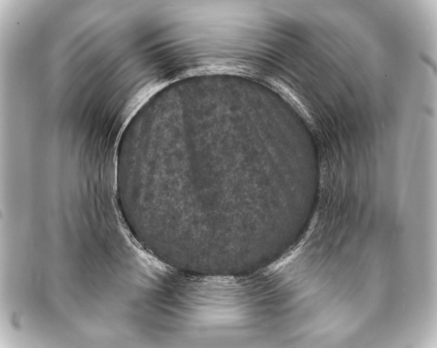 X0000095510844200712281436