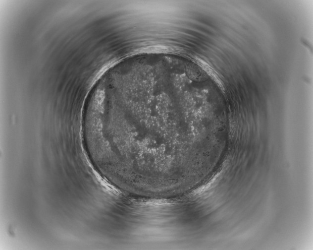 X0000095510845200712281436