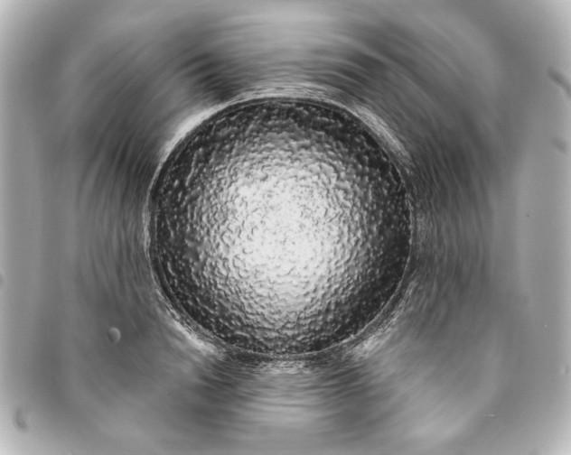 X0000095510846200712281436