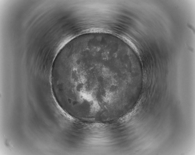 X0000095510847200712281436