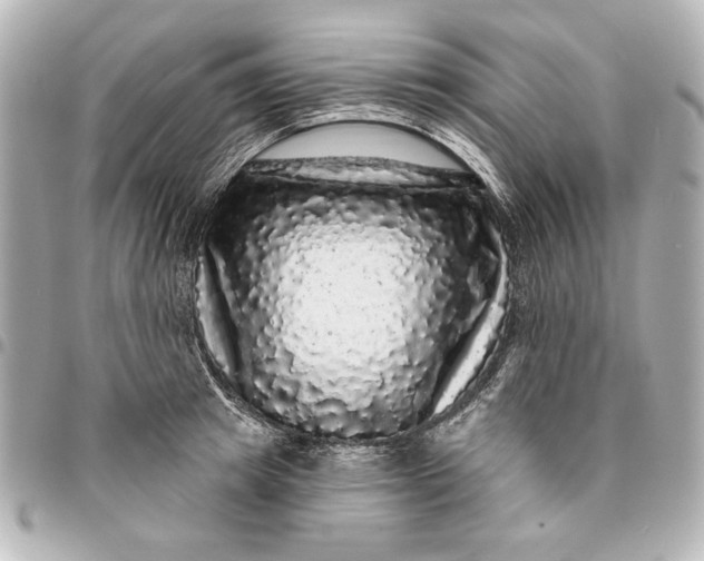 X0000095510849200712281436