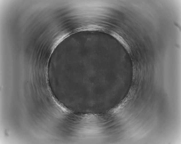 X0000095510850200712281436