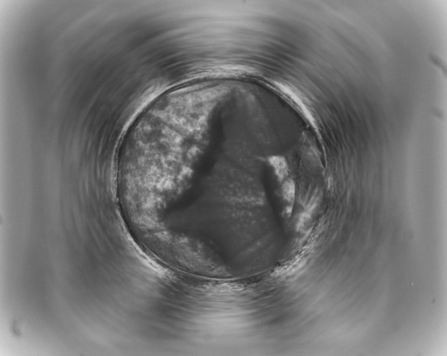 X0000095510851200712281436