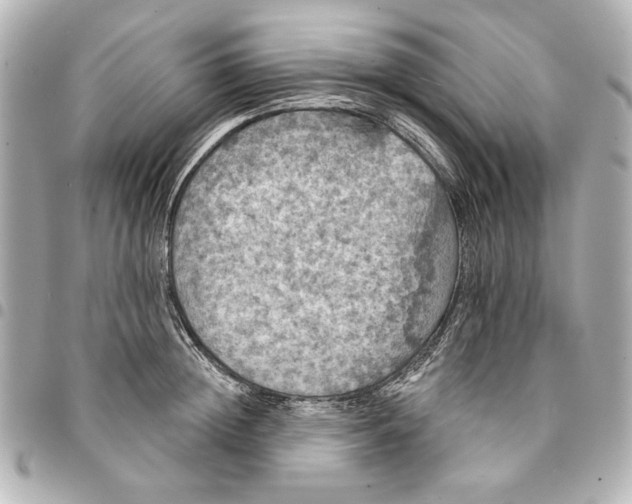 X0000095510852200712281436