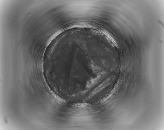 X0000095510853200712281436