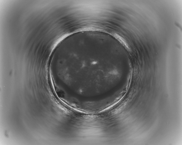 X0000095510854200712281436