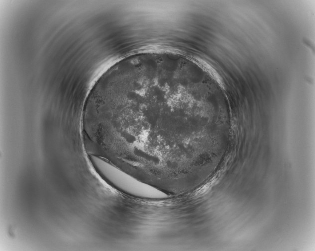 X0000095510855200712281436