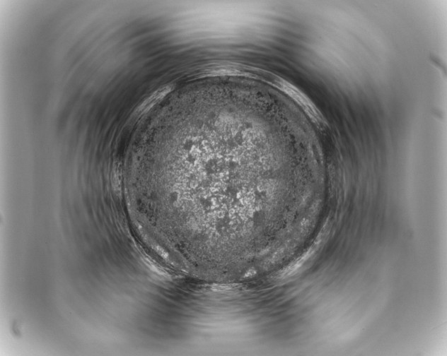 X0000095510857200712281436
