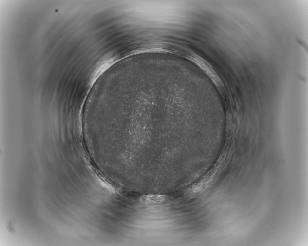 X0000095510858200712281436