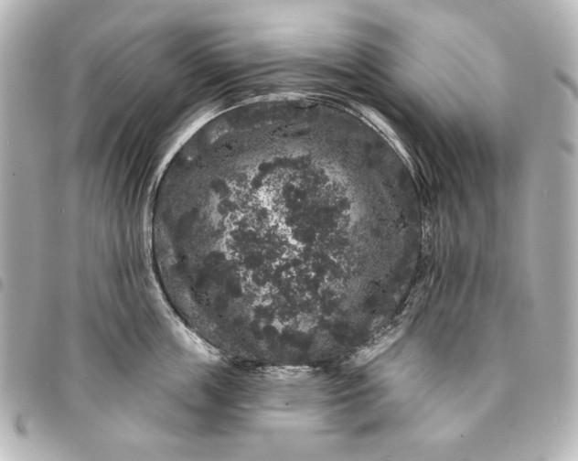 X0000095510859200712281436