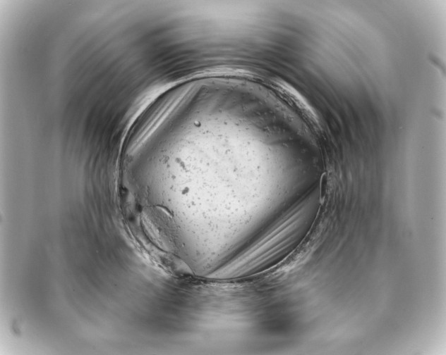 X0000095510860200712281436
