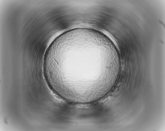 X0000095510861200712281436