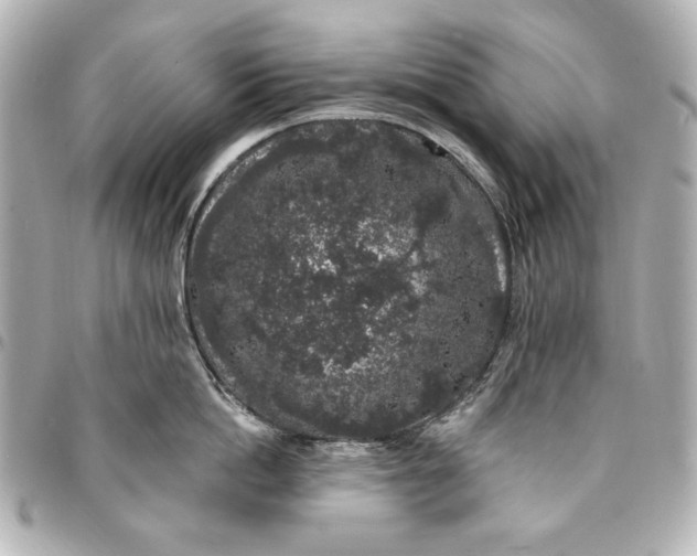 X0000095510862200712281436
