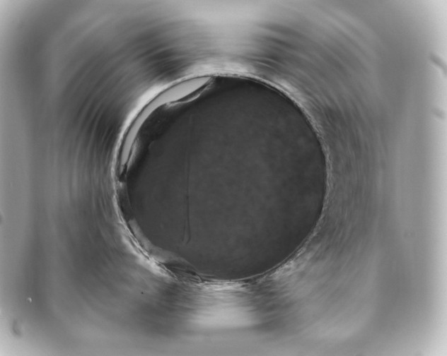 X0000095510864200712281436