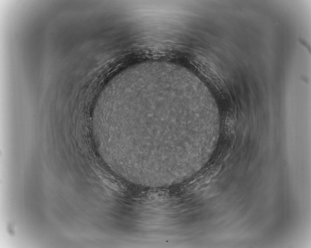 X0000095510865200712281436