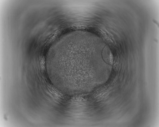 X0000095510866200712281436