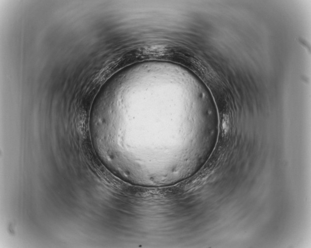 X0000095510867200712281436