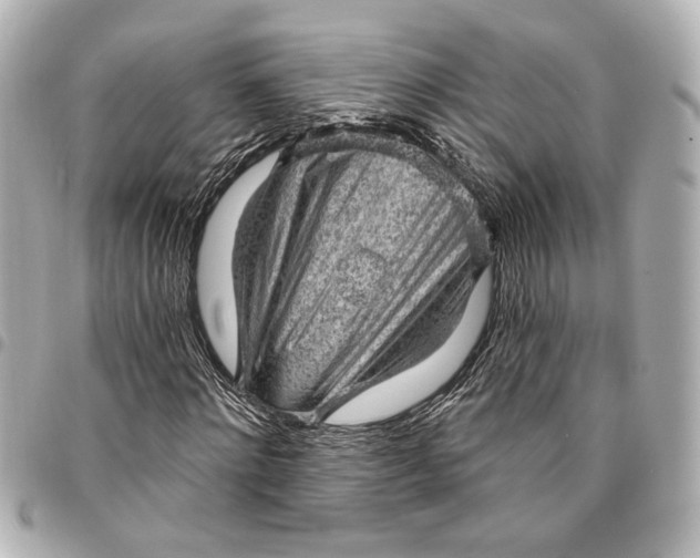 X0000095510868200712281436