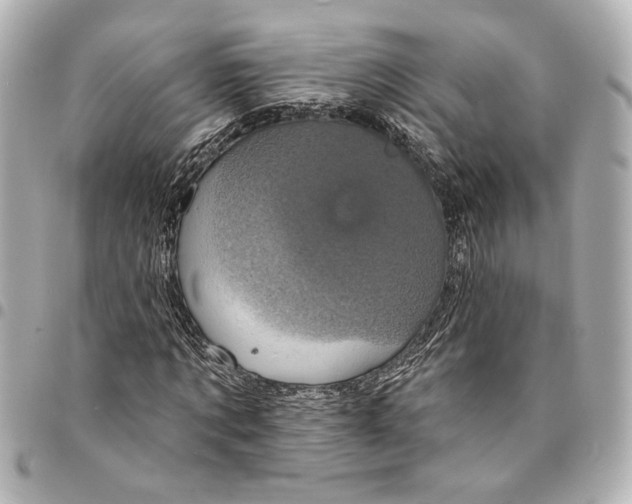 X0000095510869200712281436