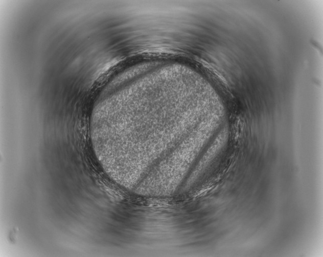 X0000095510870200712281436