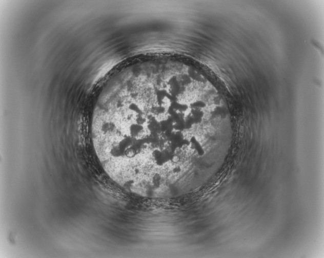 X0000095510871200712281436