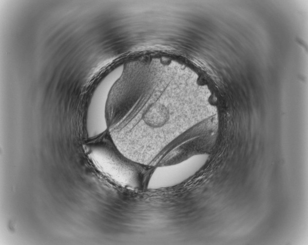 X0000095510872200712281436