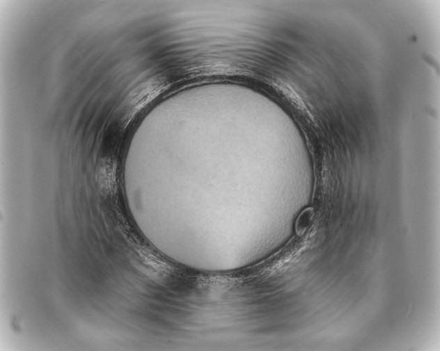 X0000095510873200712281436
