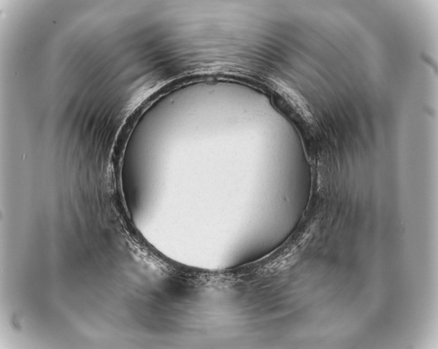 X0000095510876200712281435
