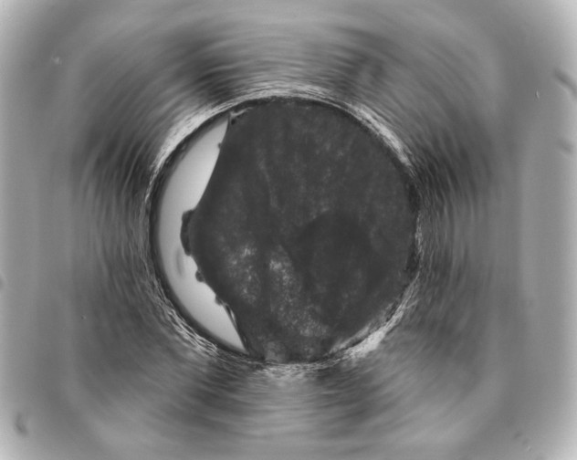 X0000095510877200712281435