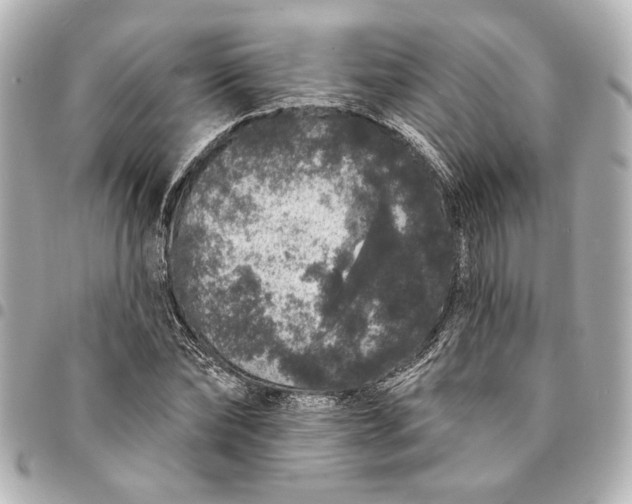 X0000095510878200712281435
