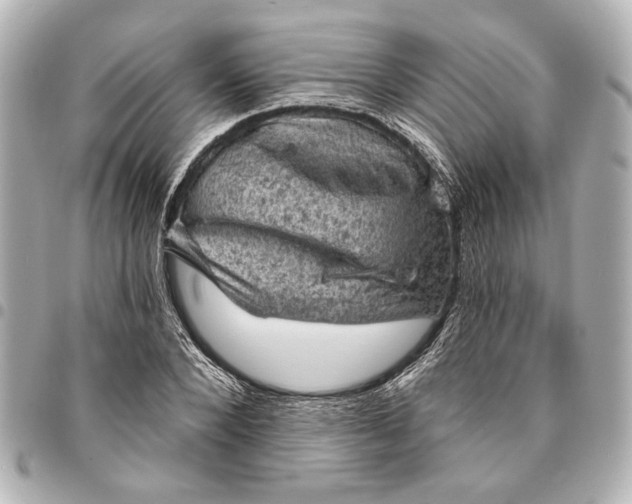 X0000095510880200712281435