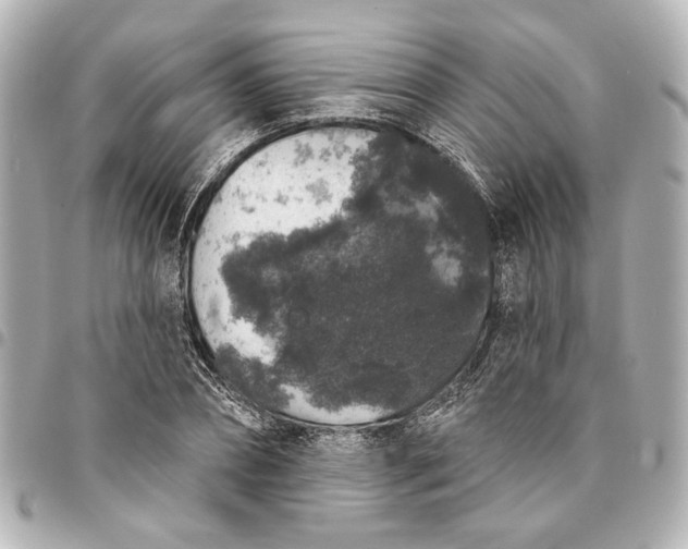 X0000095510882200712281435